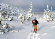 Picture of a cross-country skiier in Port-au-Port, Newfoundland.  Honorable Mention featured in FreePhotoCourse.com 