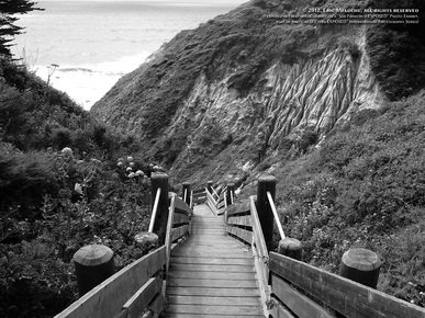 Picture of a hillside bluff trail near the greater San Francisco Bay area. Special Effects picture of the San Francisco skyline in 180 degrees, photographed and created by Steven Shapall. Part of the online artistic photography exhibit, 