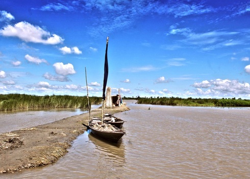Picture